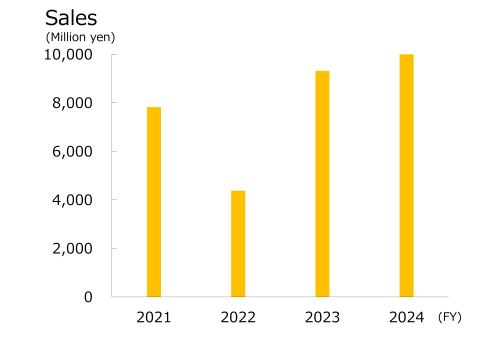 nas sales e2024