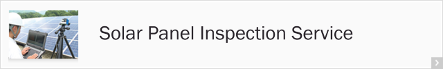 Inspection Service